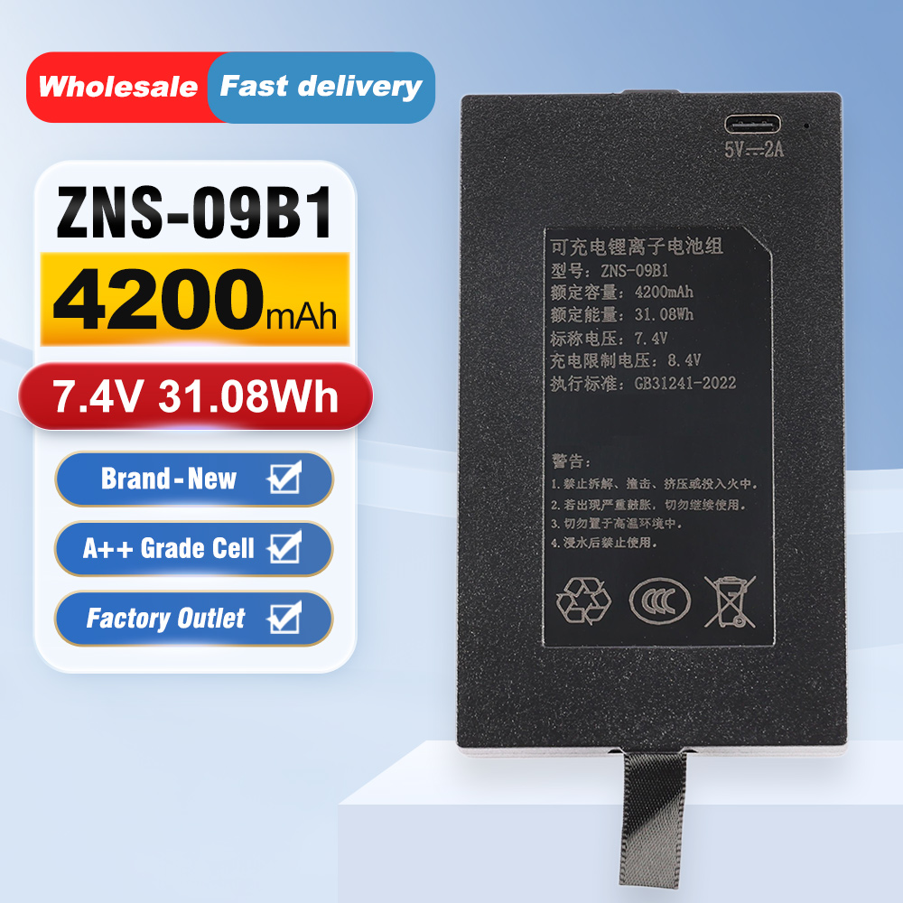 Batería de repuesto ZNS-09B1 d - Home Security Battery Replacement reseña y precio